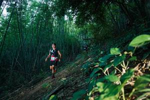 BIB: 
                            <button type="button" onclick="openModal(28124308)" class="btn btn-primary btn-sm float-right btn-popup" data-toggle="modal" data-target=".modal-high-quality">
                        <i class="fas fa-shopping-cart"></i> Add to Cart
                    </button>
                                            <button type="button" onclick="isThisMe(28124308, true)" class="btn btn-success btn-sm float-right btn-popup btn-isme hidden" data-toggle="tooltip" data-placement="bottom" title="นี่คือรูปของคุณใช่ไหม คลิกที่นี่เพื่อเอาเข้าอัลบั้ม">
                        <i class="fas fa-plus"></i> Add to album
                    </button>
                    <button type="button" onclick="isThisMe(28124308, false)" class="btn btn-warning btn-sm float-right btn-popup btn-isnotme hidden">
                        <i class="fas fa-ban"></i> Remove from album
                    </button>